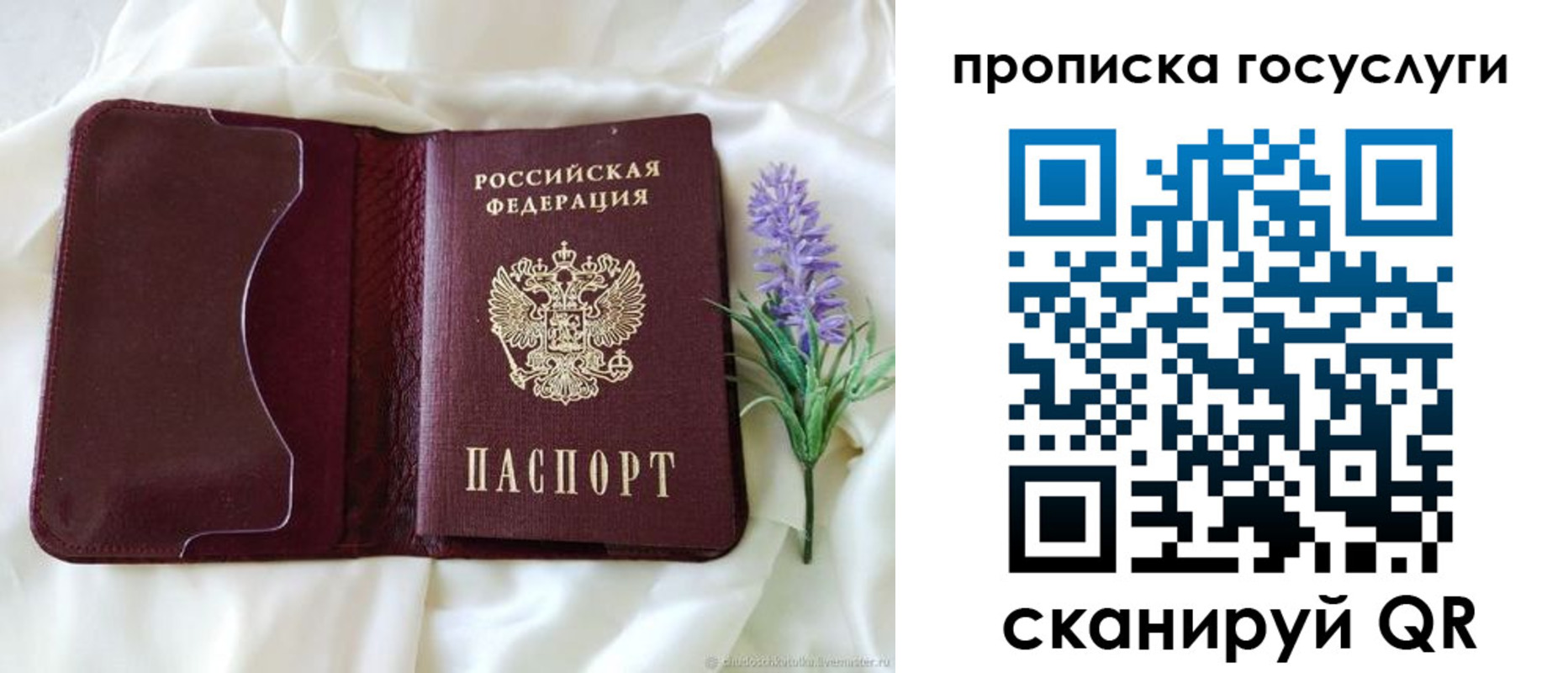 форма 3 в Зернограде