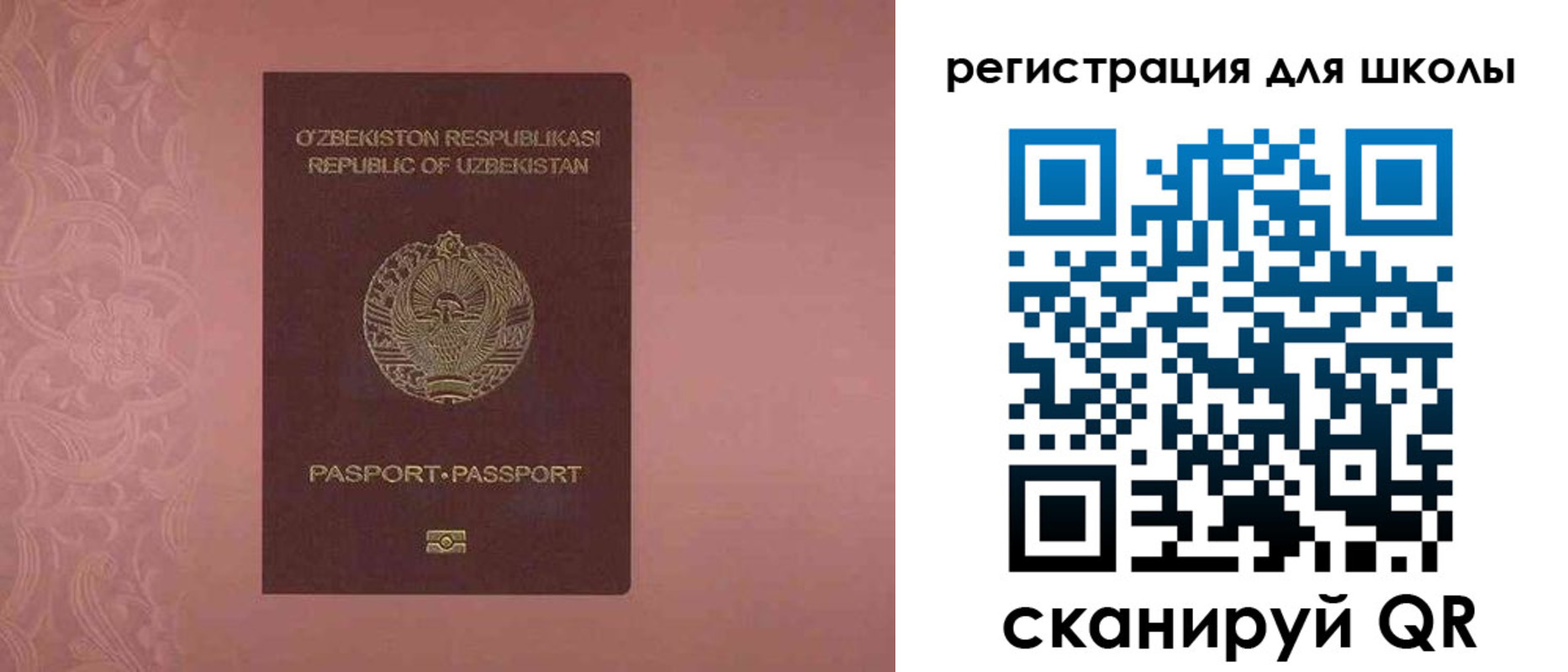 прописка для школы в Зернограде