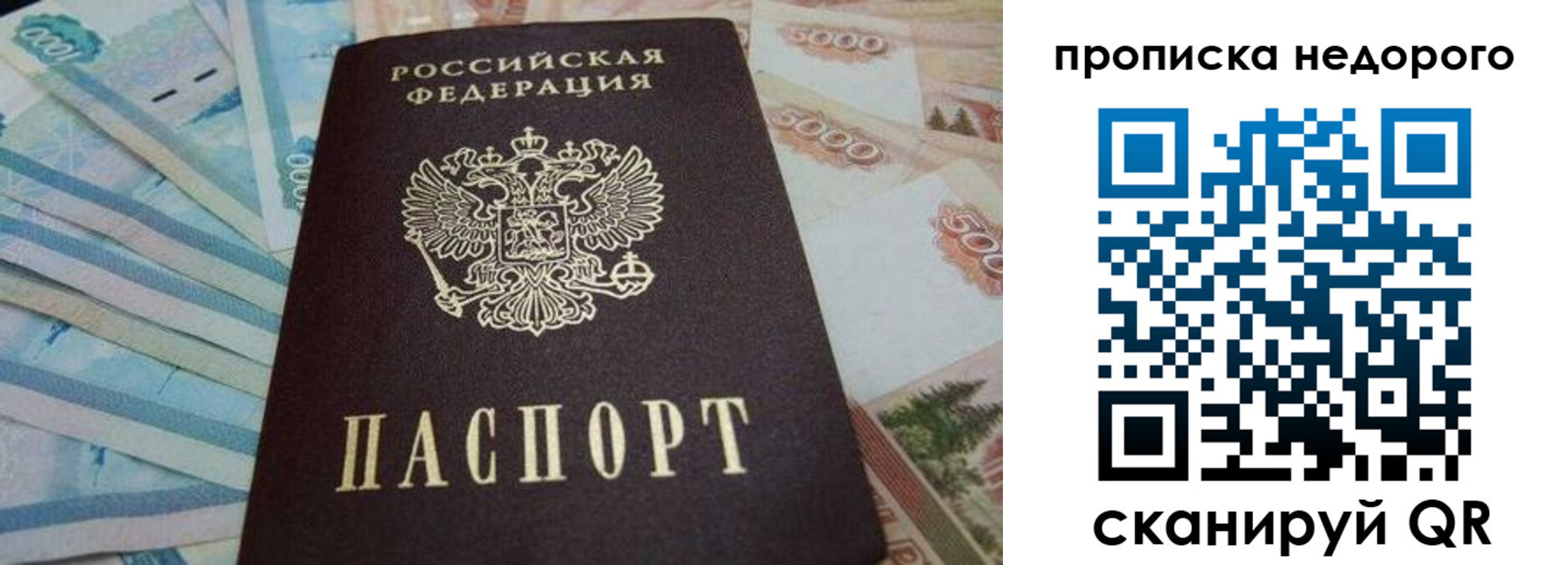временная регистрация поиск в Зернограде
